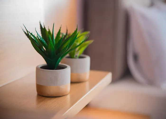 Semeli Chania (Crete)